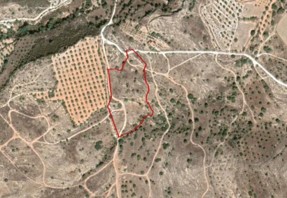 Paphos Town Terrain résidentiel Propriété à vendre | C7240