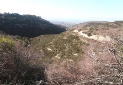 Tsada Terrain résidentiel Propriété à vendre | C7442