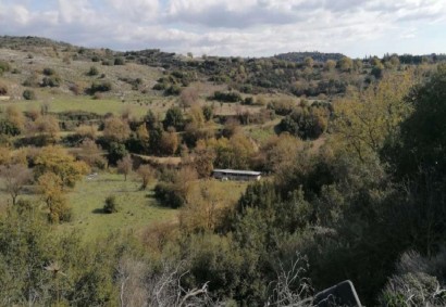 Psathi, Paphos Terrain agricole Propriété à vendre | C8330