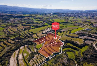 Polemi, Paphos Terrain agricole Propriété à vendre | C8356