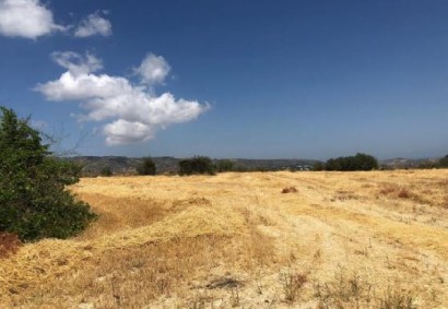 Stroumpi Pano Terrain agricole Propriété à vendre | C8364