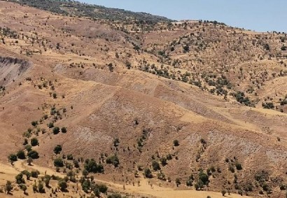 Kelokedara Terrain agricole Propriété à vendre | C8378