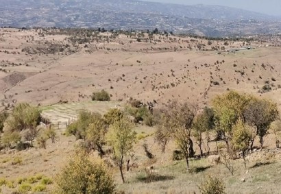 Faleia, Paphos Terrain agricole Propriété à vendre | C8493