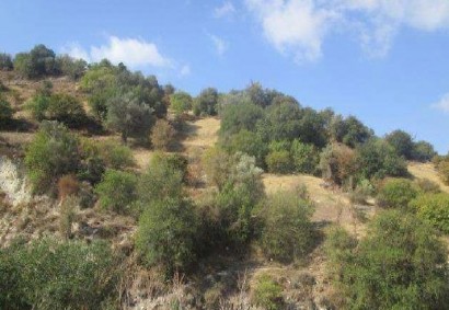 Kallepeia Terrain agricole Propriété à vendre | C11057