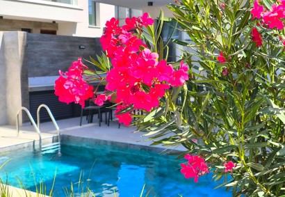 Pegeia Villa Individuelle Propriété à vendre | TRK10603