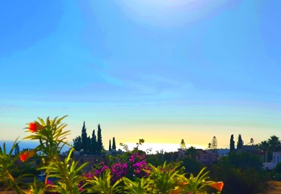 Pegeia Villa Individuelle Propriété à vendre | C11734